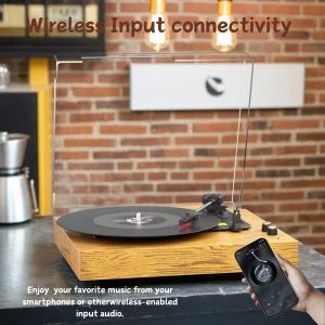 Maio Belt-Driven Vintage Gramophone, Vinyl Record, Turntable, High-Fidelity Stereo, Built-In Speaker, 3-Speed - Thumbnail Image 3